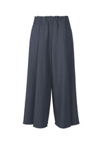 A product shot of the ISSEY MIYAKE CAMPAGNE pants in dark navy.