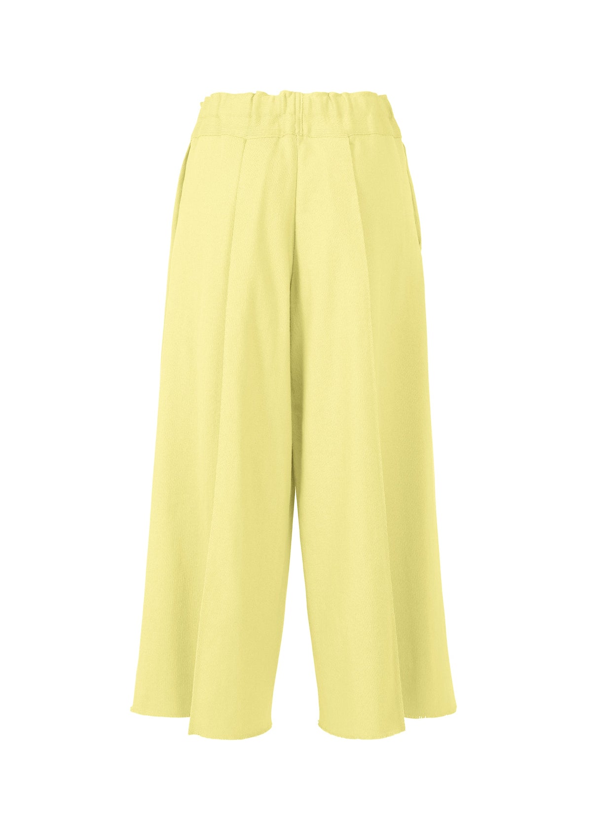 A detail shot of the ISSEY MIYAKE CAMPAGNE pants.