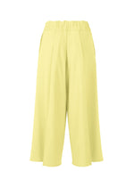 A detail shot of the ISSEY MIYAKE CAMPAGNE pants.