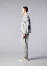 SWING Trousers Grey Sage