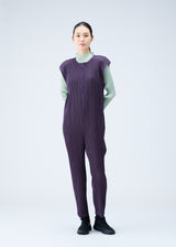 MONTHLY COLORS : NOVEMBER Jumpsuit Dark Purple