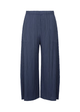 MONTHLY COLORS : JUNE Trousers Dark Blue