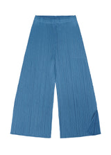 MONTHLY COLORS : JUNE Trousers Steel Blue