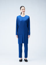 MONTHLY COLORS : JANUARY Tunic Blue