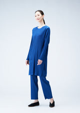 MONTHLY COLORS : JANUARY Tunic Blue