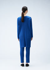 MONTHLY COLORS : JANUARY Tunic Blue