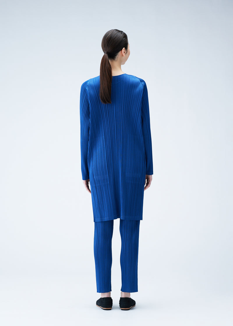 MONTHLY COLORS : JANUARY Tunic Blue