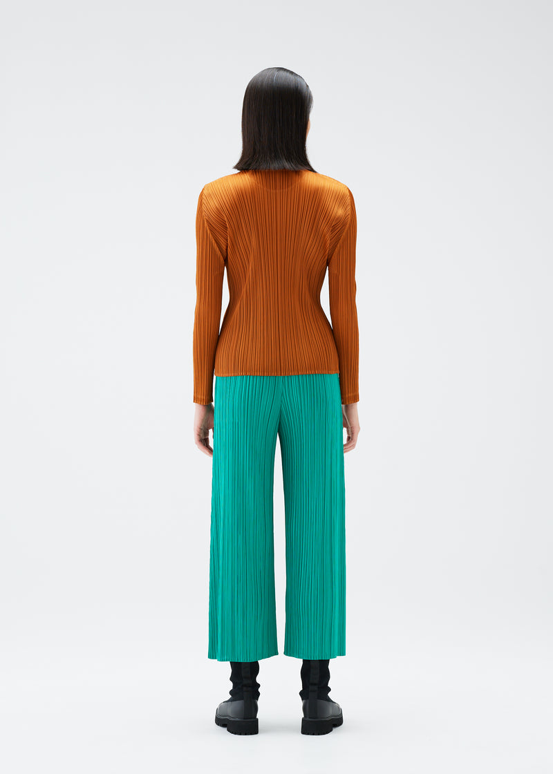 MONTHLY COLORS : NOVEMBER Trousers Brown