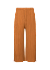 MONTHLY COLORS : NOVEMBER Trousers Brown