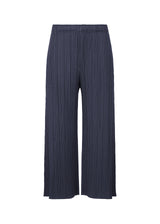 MONTHLY COLORS : NOVEMBER Trousers Dark Navy