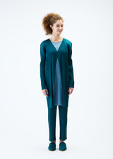 MONTHLY COLORS : JANUARY Coat Blue Green