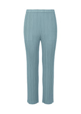 MONTHLY COLORS : JANUARY Trousers Blue Grey