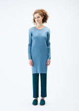 MONTHLY COLORS : JANUARY Tunic Blue Grey