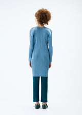 MONTHLY COLORS : JANUARY Tunic Blue Green