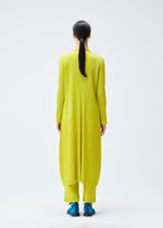 A model wears the PLEATS PLEASE ISSEY MIYAKE MONTHLY COLORS OCTOBER coat.