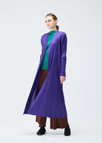 A model wears the Pleats Please Issey Miyake MONTHLY COLORS : NOVEMBER coat.