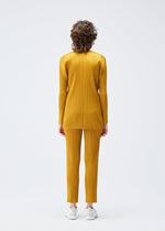 A model wears the Pleats Please Issey Miyake MONTHLY COLORS SEPTEMBER jacket.