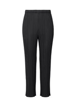 A product shot of the Pleats Please Issey Miyake MONTHLY COLORS SEPTEMBER trousers in .