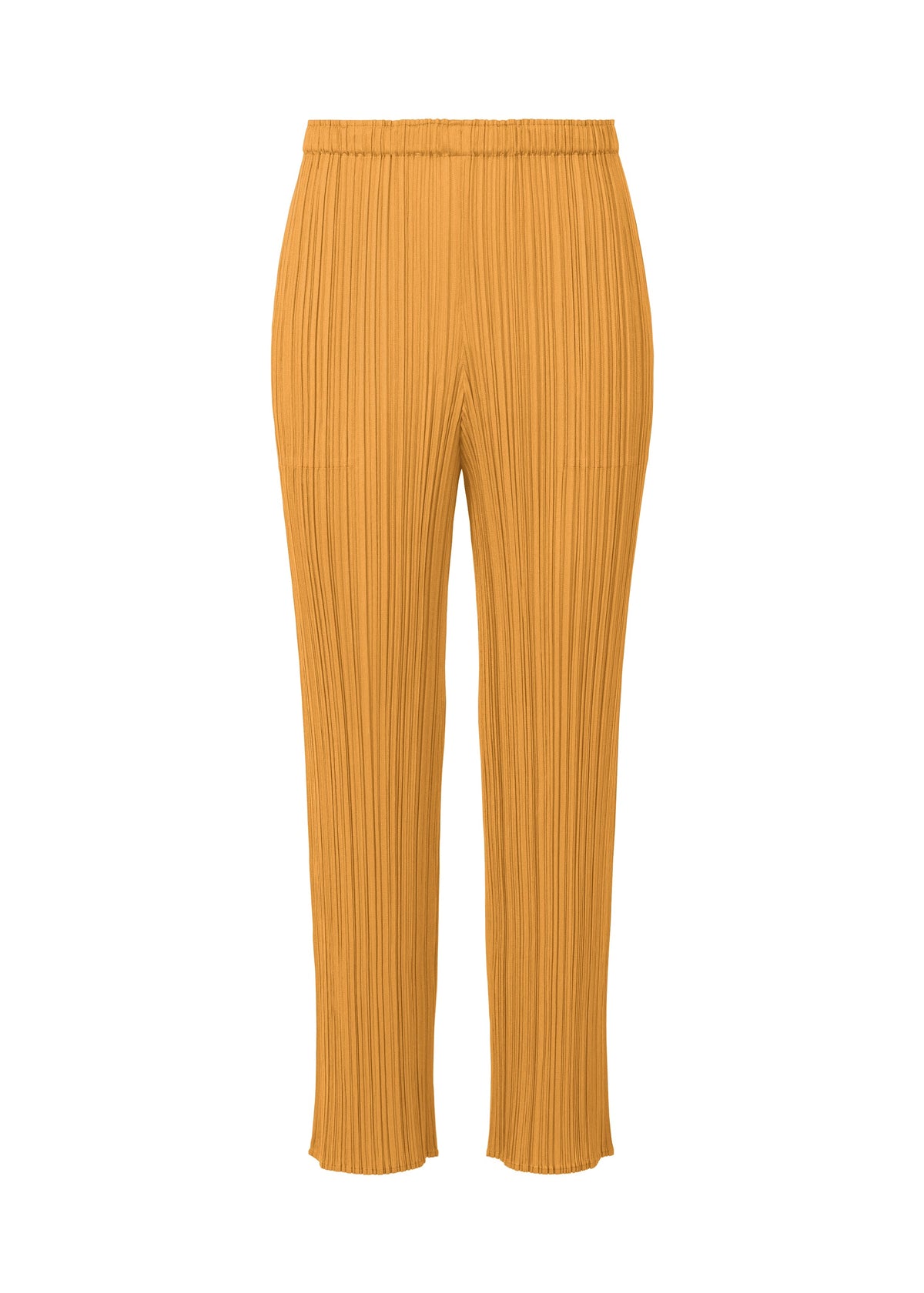 A product shot of the Pleats Please Issey Miyake MONTHLY COLORS SEPTEMBER trousers in .