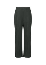 MONTHLY COLORS : NOVEMBER Trousers Charcoal