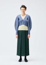A model wears the Pleats Please Issey Miyake MONTHLY COLORS : DECEMBER skirt.