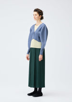 A model wears the Pleats Please Issey Miyake MONTHLY COLORS : DECEMBER skirt.