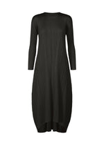 A product shot of the PLEATS PLEASE ISSEY MIYAKE MONTHLY COLORS OCTOBER dress in black (15).