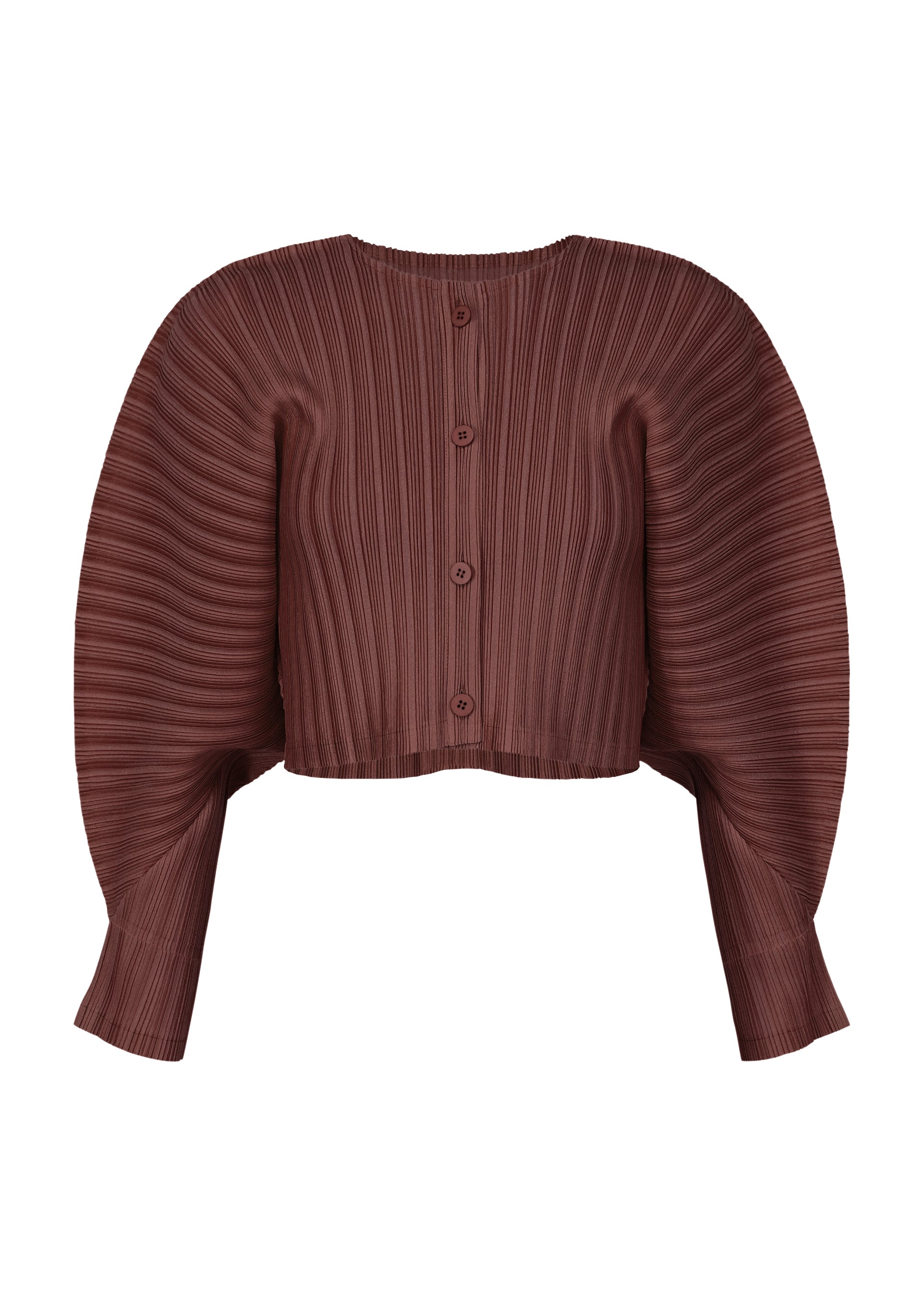 RIB PLEATS JANUARY