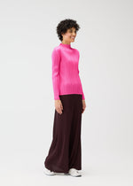 A model wears the PLEATS PLEASE ISSEY MIYAKE MONTHLY COLORS JANUARY prêt à porter.