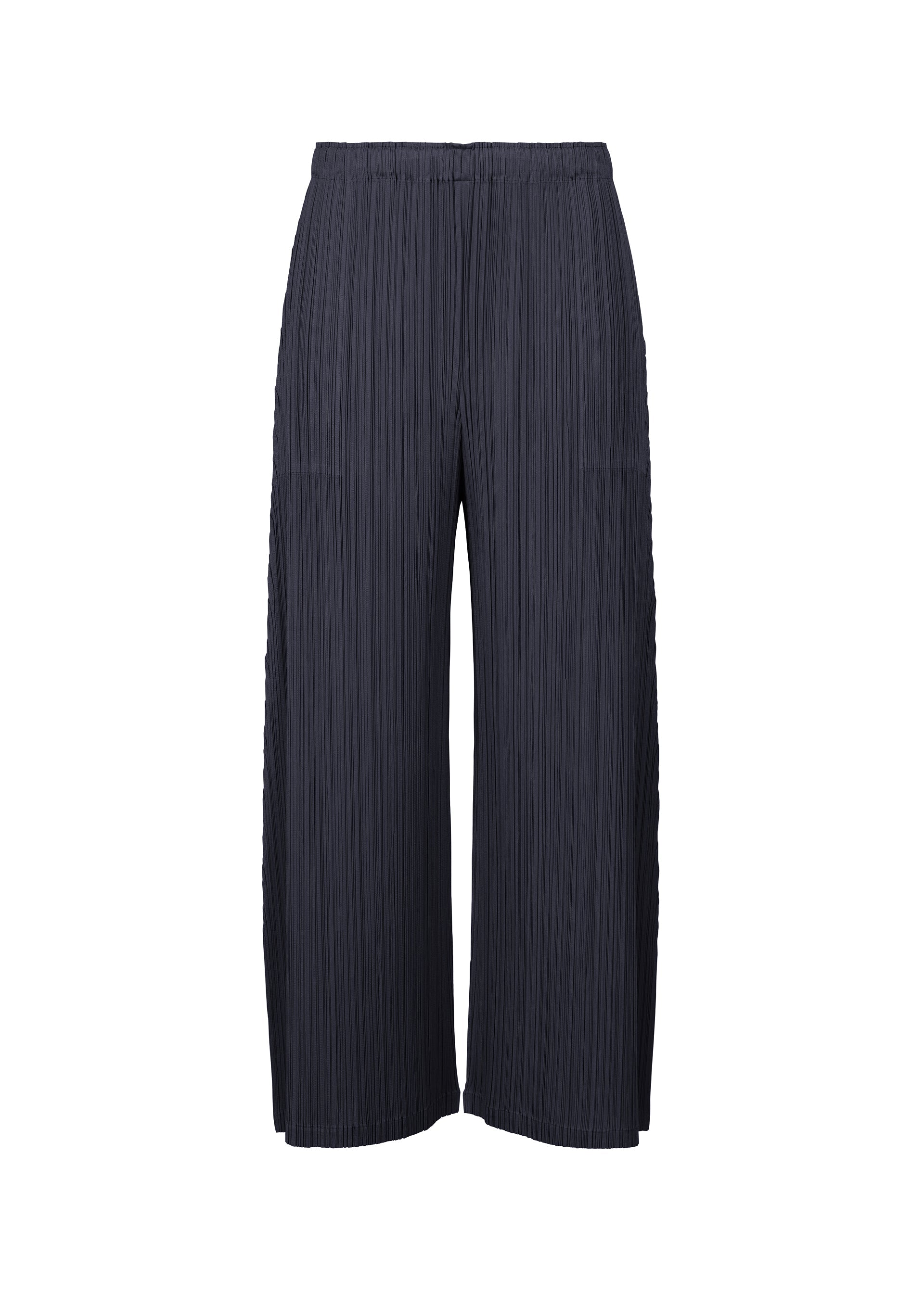 MONTHLY COLORS : JANUARY Trousers Dark Navy – ISSEY MIYAKE EU