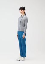 A model wears the PLEATS PLEASE ISSEY MIYAKE MONTHLY COLORS FEBRUARY prêt à porter.