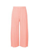 A product shot of the Pleats Please Issey Miyake MONTHLY COLORS MARCH prêt à porter in .