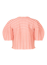 COLORFUL MUSHROOM KNIT Top Grass Green