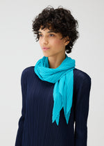 MONTHLY SCARF JANUARY