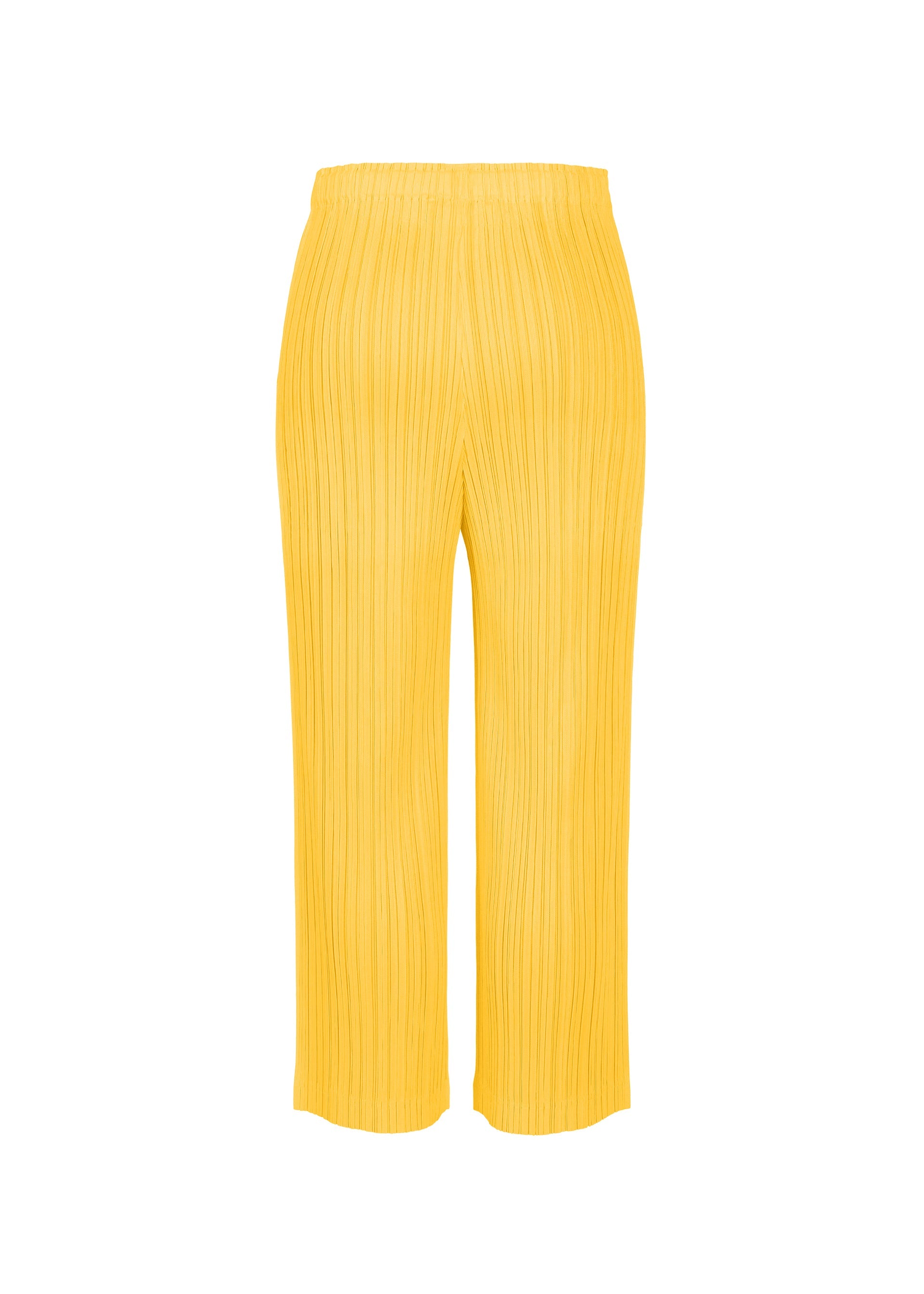 A detail shot of the PLEATS PLEASE ISSEY MIYAKE THICKER BOTTOMS 1 pants.