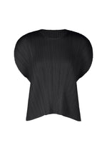 A product shot of the PLEATS PLEASE ISSEY MIYAKE MONTHLY COLORS : JULY shirt in black.